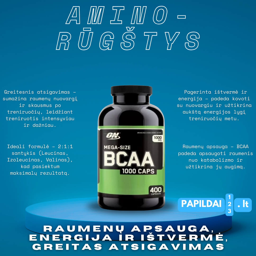 ON BCAA 1000 400 kapsulių