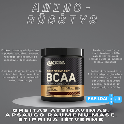 ON Gold Standard BCAA 266g